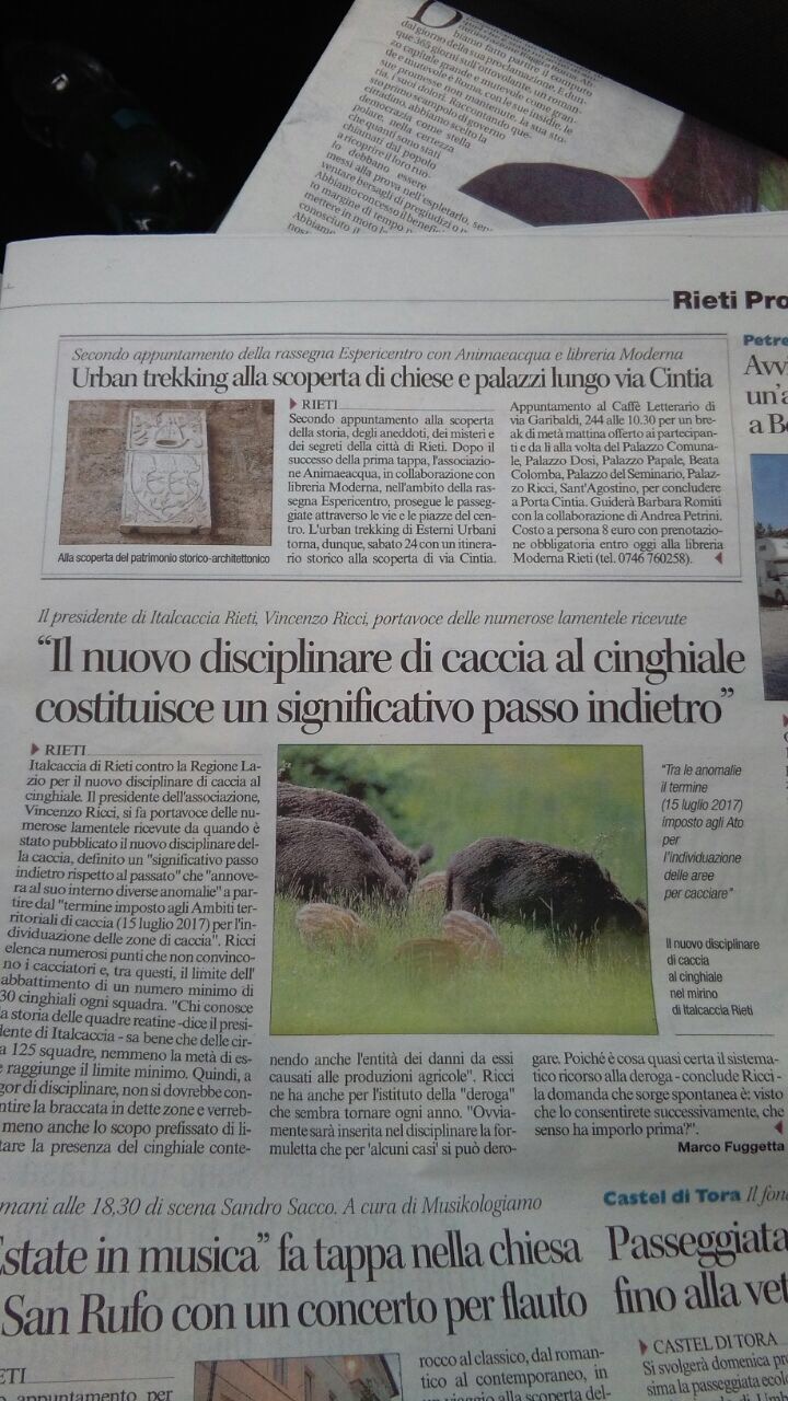 L'articolo